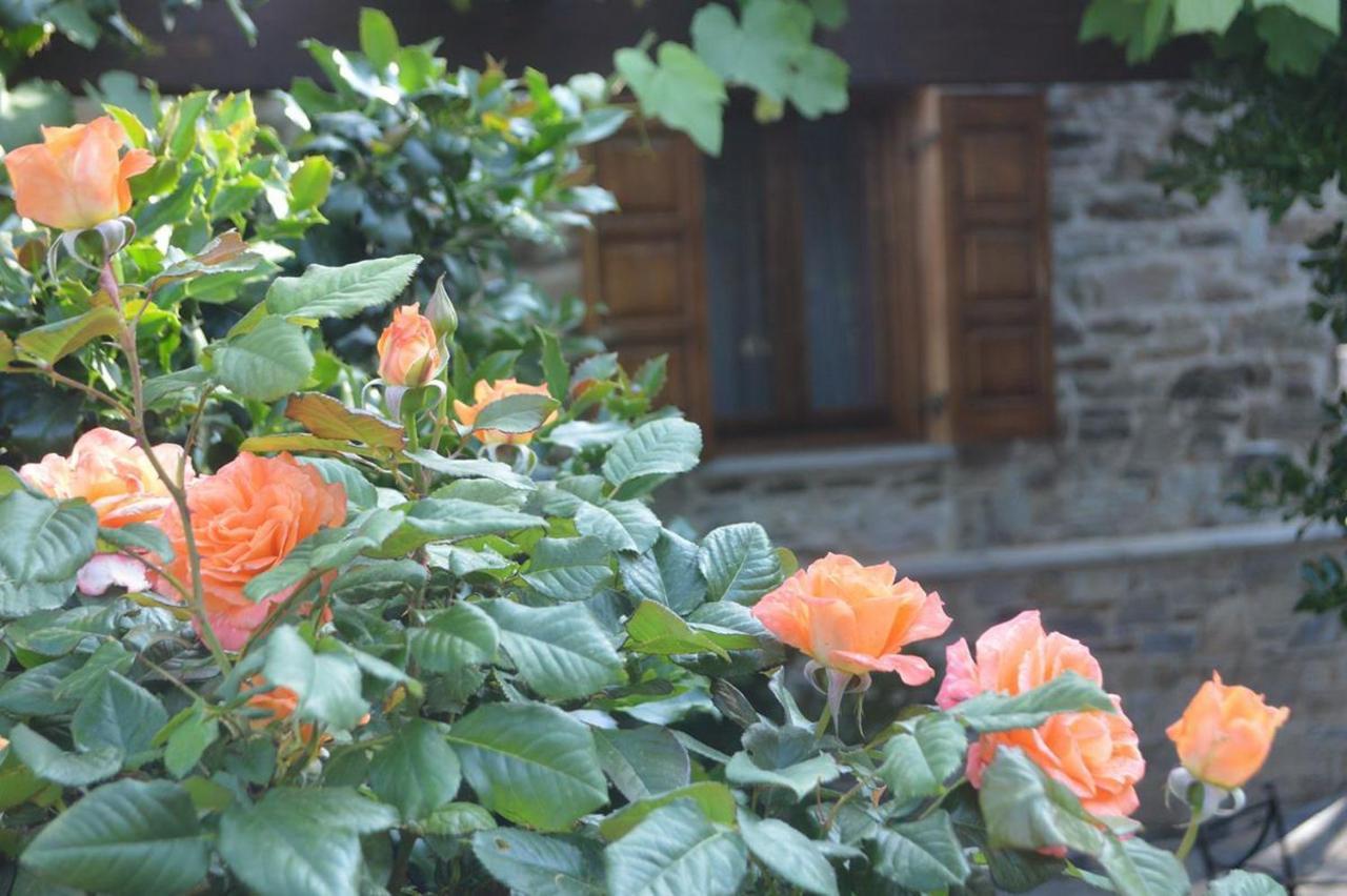 Triantafillies Guesthouse ポルタリア エクステリア 写真