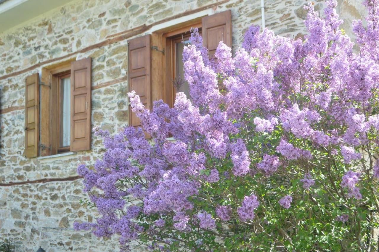 Triantafillies Guesthouse ポルタリア エクステリア 写真